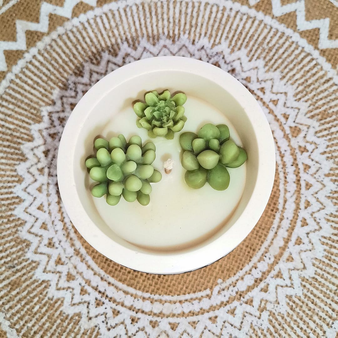 Bougie Cactus Vanille – Image 2