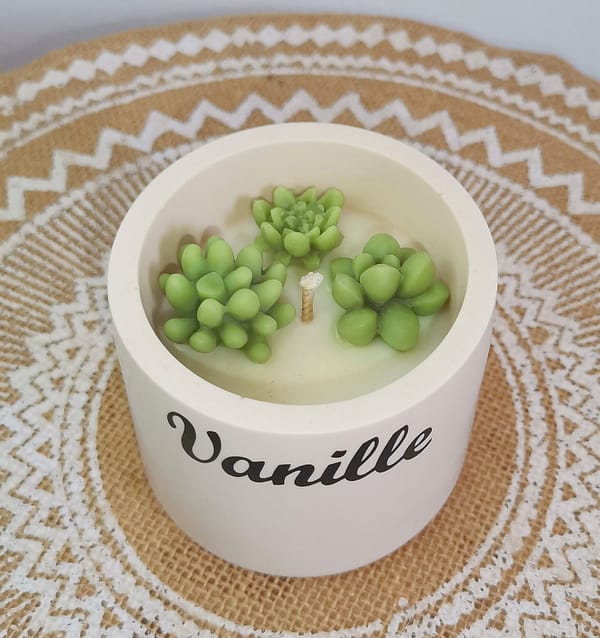 Bougie Cactus Vanille